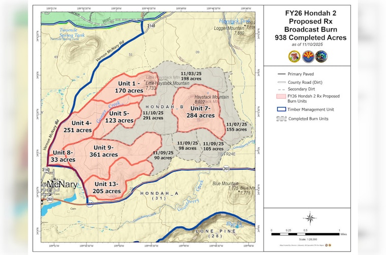 Fort Apache Reservation Employs Drones for Prescribed Burn Operations to Enhance Safety and Forest Health