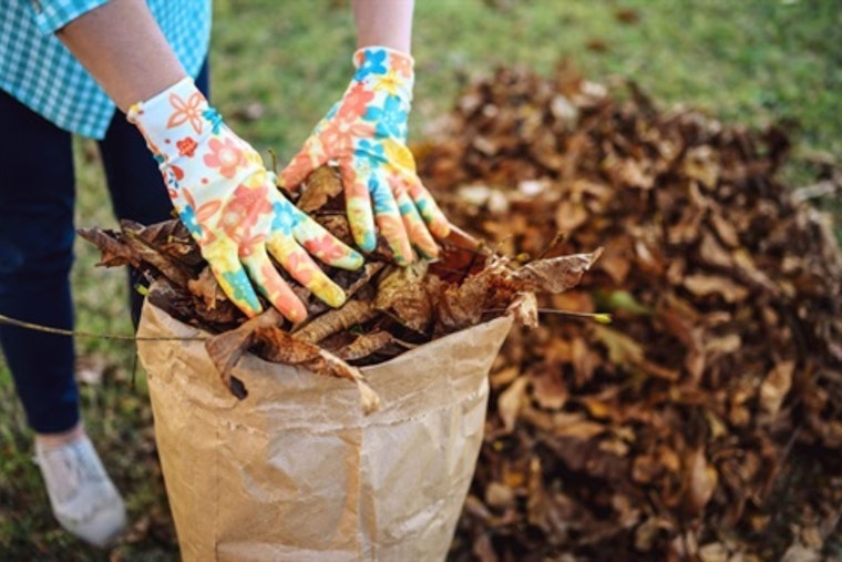 Fort Worth Advocates for Sustainable Yard Waste Practices as Fall Season Arrives