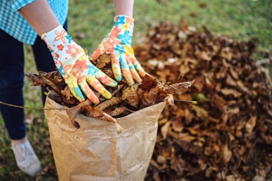 Fort Worth Advocates for Sustainable Yard Waste Practices as Fall Season Arrives