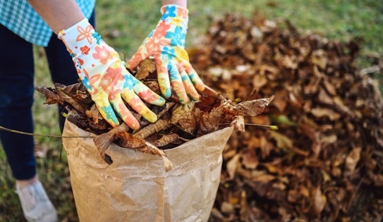 Fort Worth Advocates for Sustainable Yard Waste Practices as Fall Season Arrives