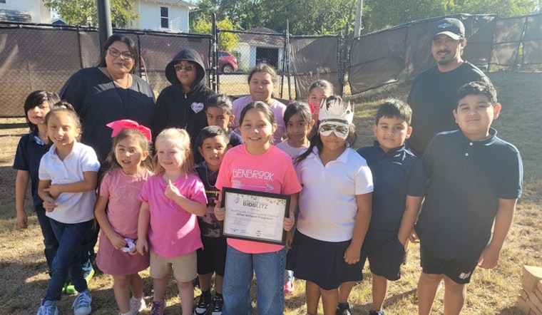 Fort Worth Residents Buzz into Action for Pollinators, Log Over 4,000 Observations in BioBlitzes