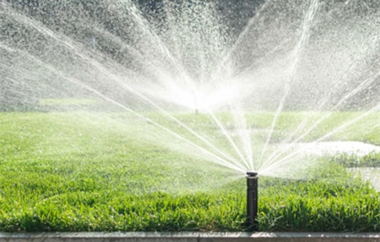 Fort Worth Tightens Irrigation Rules to Curb Water Waste, Empowers Water Director to Shut Off Repeat Offenders' Supply