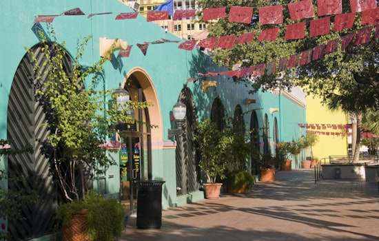 Free Fun in San Antonio: Music, Animal Blessings, and Neon Dance Parties Enliven Downtown This November