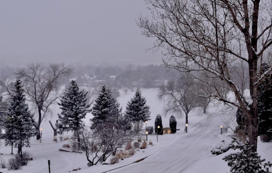 Frost Advisory Issued for Charlotte and Surrounding Areas—Sensitive Plants at Risk
