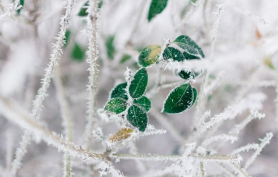 Frost Advisory Issued for Parts of Delaware New Jersey and Pennsylvania as Residents Urged to Protect Sensitive Vegetation