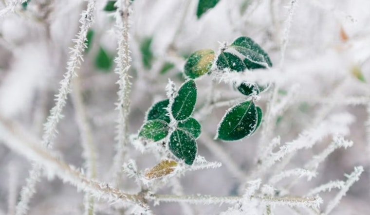 Frost Advisory Issued for Parts of Delaware New Jersey and Pennsylvania as Residents Urged to Protect Sensitive Vegetation