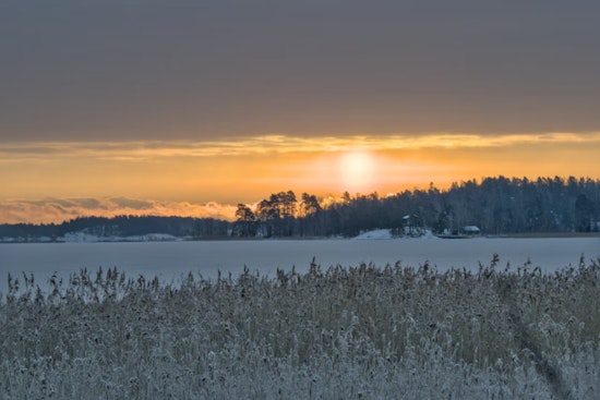Frost Advisory Issued in Jacksonville and Surrounding Areas as Residents Are Urged to Protect Tender Vegetation