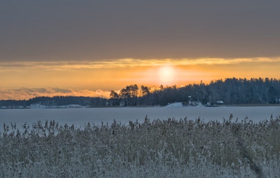 Frost Advisory Issued in Jacksonville and Surrounding Areas as Residents Are Urged to Protect Tender Vegetation