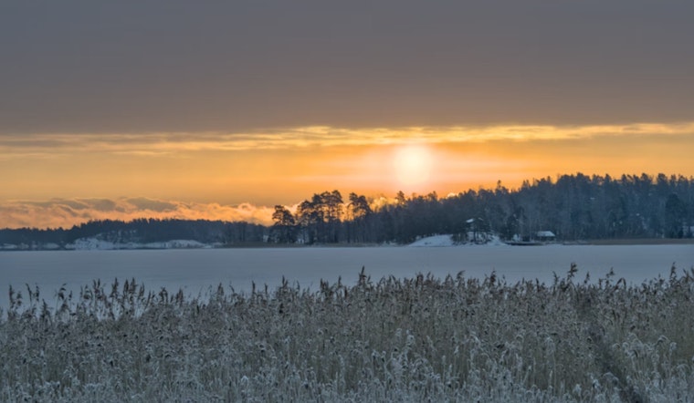 Frost Advisory Issued in Jacksonville and Surrounding Areas as Residents Are Urged to Protect Tender Vegetation