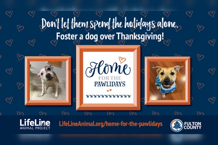 Fulton County Invites Animal Lovers to Foster Pets with "Home for the Pawlidays" Program