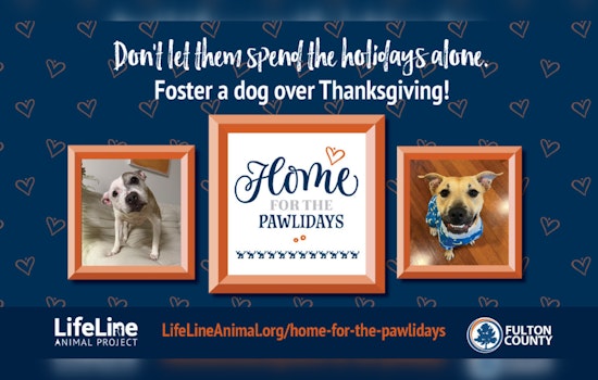 Fulton County Invites Animal Lovers to Foster Pets with "Home for the Pawlidays" Program