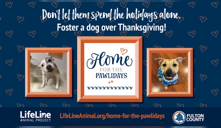 Fulton County Invites Animal Lovers to Foster Pets with "Home for the Pawlidays" Program