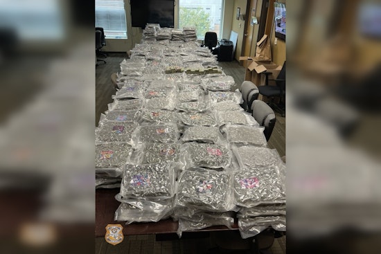 GBI Arrests Three Suspected CJNG Associates in Atlanta Drug Bust with Over 500 Pounds of Marijuana Seized