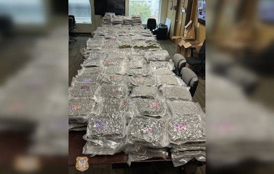 GBI Arrests Three Suspected CJNG Associates in Atlanta Drug Bust with Over 500 Pounds of Marijuana Seized