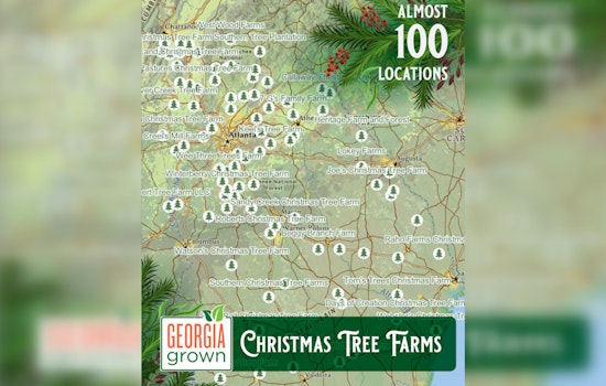Georgia Agriculture Department Unveils 2025 Christmas Tree Farm Map to Support Local Growers