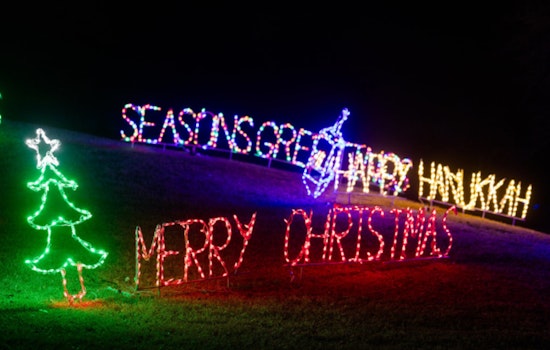 Gilbert's Riparian Preserve at Water Ranch to Glow with Festive Lights During 'Riparian After Dark' Event