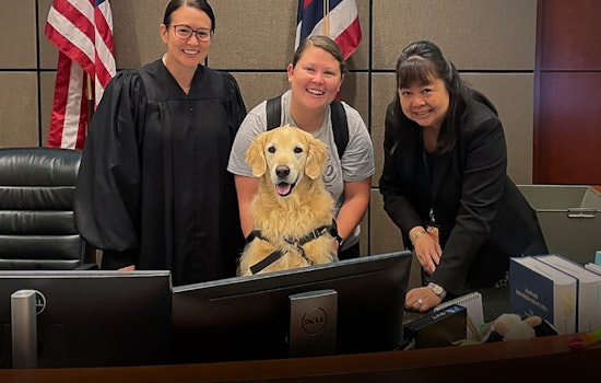 Golden Retriever Tuukka Brings Solace to Kapolei Family Court, Aiding Children and Families Amidst Trials