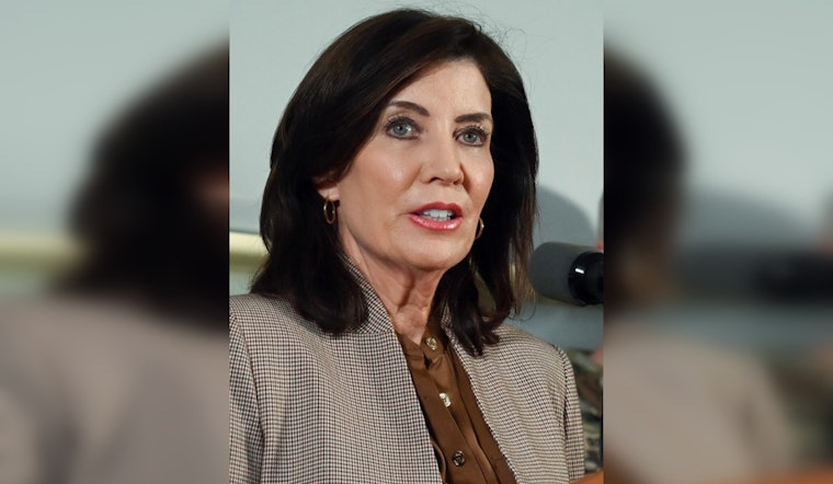 Gov. Hochul Approves Additional $600K for East Village's wild project, Total State Support Hits $1.2M for Arts Venue