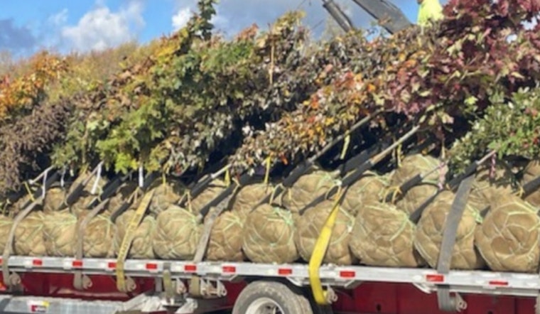 Gov. Hochul's Green Initiative Boosts NY Landscape with 1,650 New Trees Across 49 Municipalities
