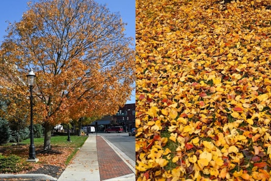 Grove City Launches Leaf Collection in Area 2: Residents Urged to Prepare for Pickup