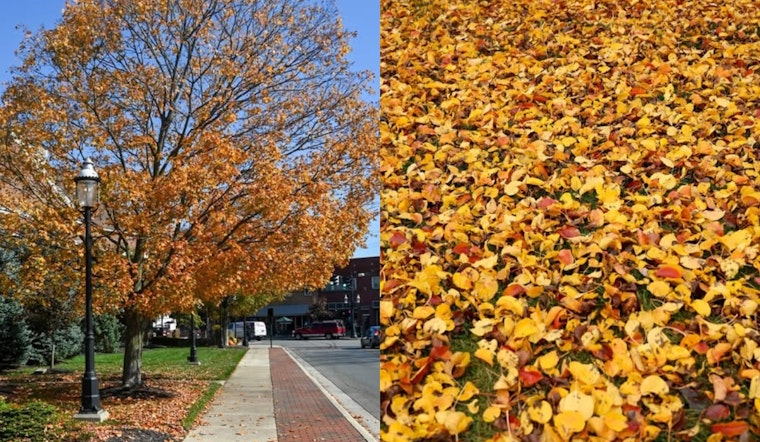 Grove City Launches Leaf Collection in Area 2: Residents Urged to Prepare for Pickup
