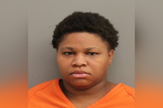 Harris County Traffic Stop Leads to Arrest of Suspect with Open Theft Warrant