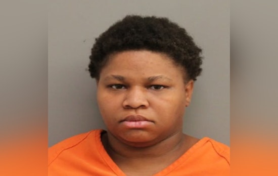 Harris County Traffic Stop Leads to Arrest of Suspect with Open Theft Warrant