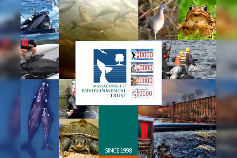Healey-Driscoll Administration Awards $500,000 for Conservation of Massachusetts Marine Life and Habitats