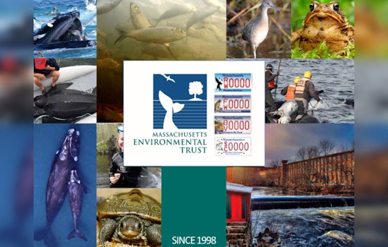 Healey-Driscoll Administration Awards $500,000 for Conservation of Massachusetts Marine Life and Habitats