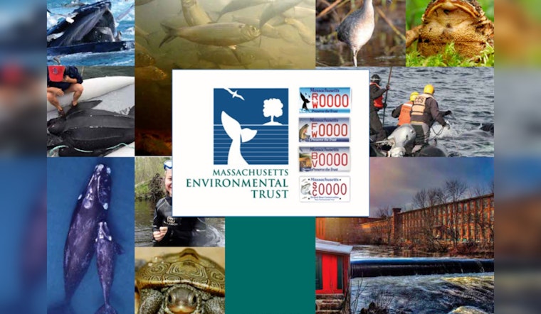 Healey-Driscoll Administration Awards $500,000 for Conservation of Massachusetts Marine Life and Habitats