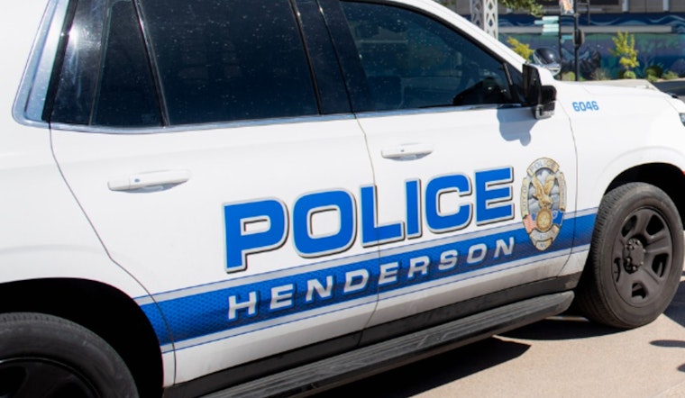 Henderson Police Probe Death of Dog Found in Trash Can in Inspirada Neighborhood