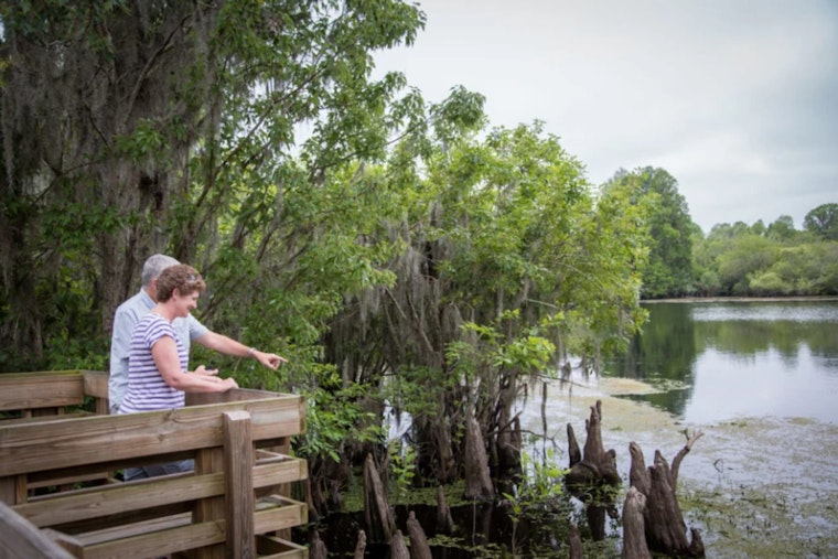 Hillsborough County Promotes Wellness with Hiking Spree and Mindful Mondays to Boost Mental Health