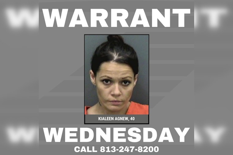 Hillsborough County Sheriff Seeks Public Help in Locating Woman Accused of Grand Theft and Fraud