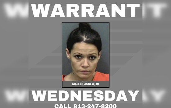 Hillsborough County Sheriff Seeks Public Help in Locating Woman Accused of Grand Theft and Fraud