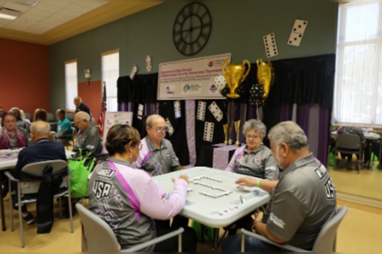 Hillsborough County's Finest Domino Players Clash for Championship at 11th Annual Tournament