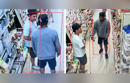 Hilo Police Seek Community Help to Identify Two Suspects in Keawe Street Theft Case
