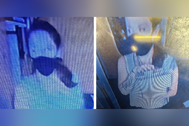 Hilo Police Seek Public's Help to Identify Suspect in Theft Case on East Puainako Street