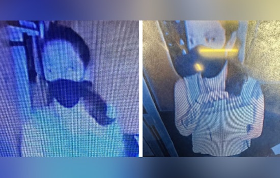 Hilo Police Seek Public's Help to Identify Suspect in Theft Case on East Puainako Street