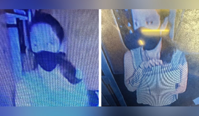 Hilo Police Seek Public's Help to Identify Suspect in Theft Case on East Puainako Street