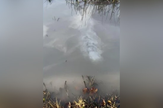 Holly, Michigan Industrial Site Spill Leads to Environmental Cleanup, Facility Assumes Responsibility
