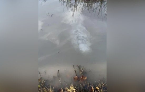 Holly, Michigan Industrial Site Spill Leads to Environmental Cleanup, Facility Assumes Responsibility