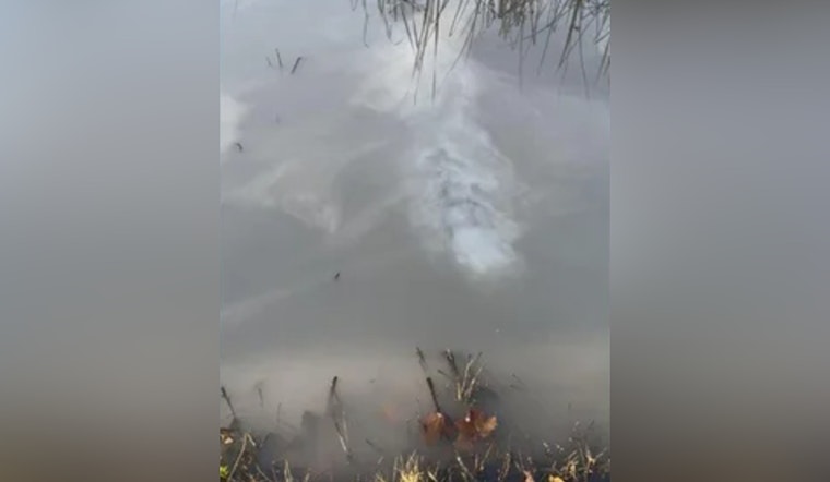 Holly, Michigan Industrial Site Spill Leads to Environmental Cleanup, Facility Assumes Responsibility