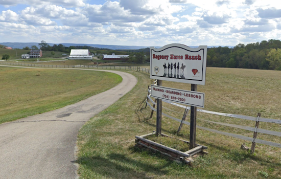 Horses Rescued as Historic Barn Succumbs to Fire in East Huntingdon Township