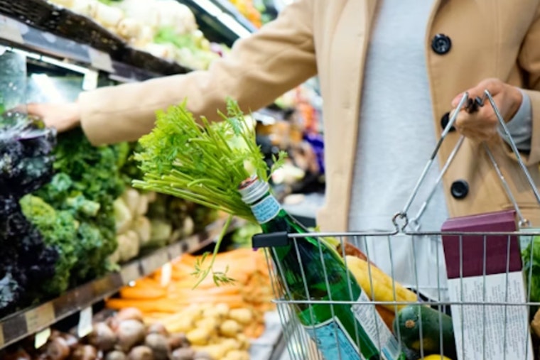 Houston and Harris County Confront Rising Food Insecurity Affecting 2 in 5 Households Amid SNAP Cuts