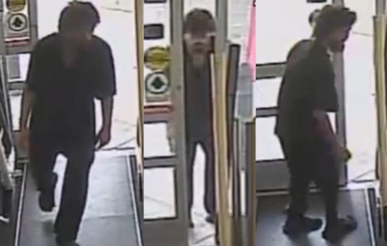 Houston Police Seek Public's Help to Apprehend Suspect in Violent Robbery at Studemont Drug Store