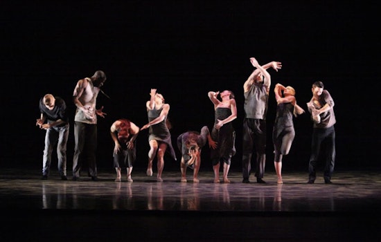 “How We Go” to Bring Multidisciplinary Dance and Music to The Dance Complex in Cambridge