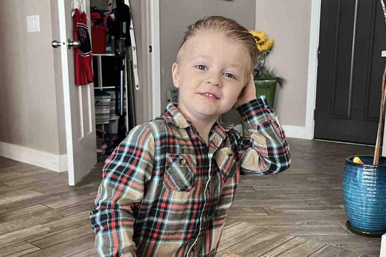 Hurricane, Utah to Euthanize Aggressive Dog Following Attack on 5-Year-Old Boy