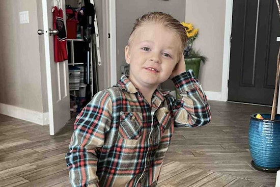 Hurricane, Utah to Euthanize Aggressive Dog Following Attack on 5-Year-Old Boy