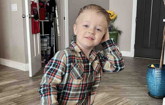 Hurricane, Utah to Euthanize Aggressive Dog Following Attack on 5-Year-Old Boy