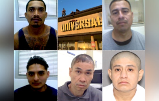 ICE Houston Nets 1,505 Arrests, Including Gang Members and Violent Offenders, in Southeast Texas Public Safety Operation